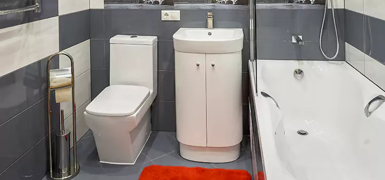 Hansgrohe Shaving Mirror Clearfield