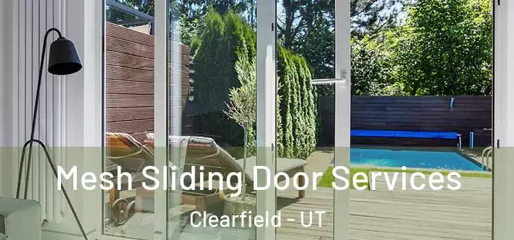 Mesh Sliding Door Services Clearfield - UT