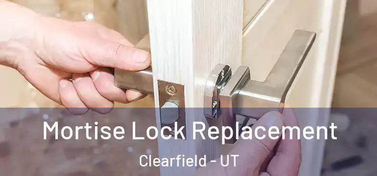 Mortise Lock Replacement Clearfield - UT